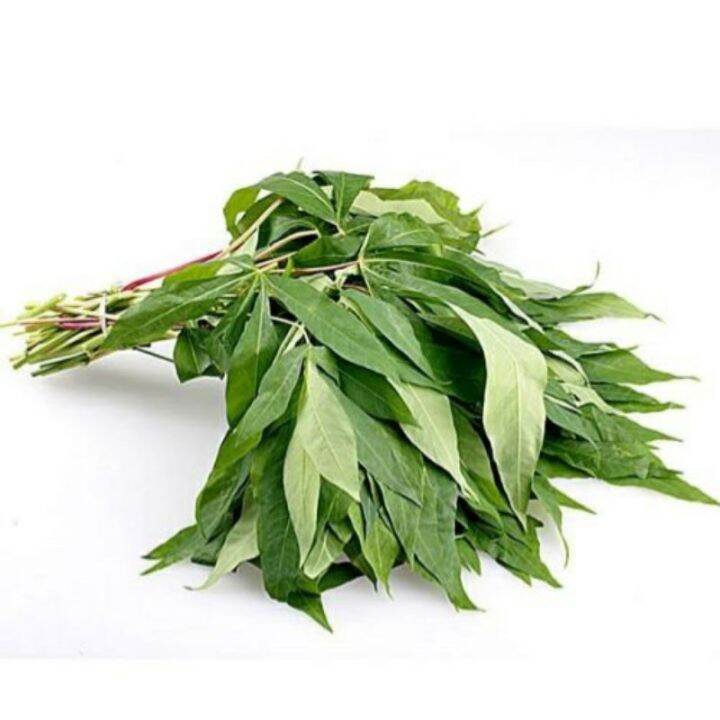 SHUIXIN Daun Singkong 調製木薯葉 1Kg