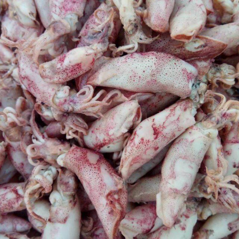 PAMMA Cumi Asin Lv10 辣椒粉-鹹魷魚風味 30g